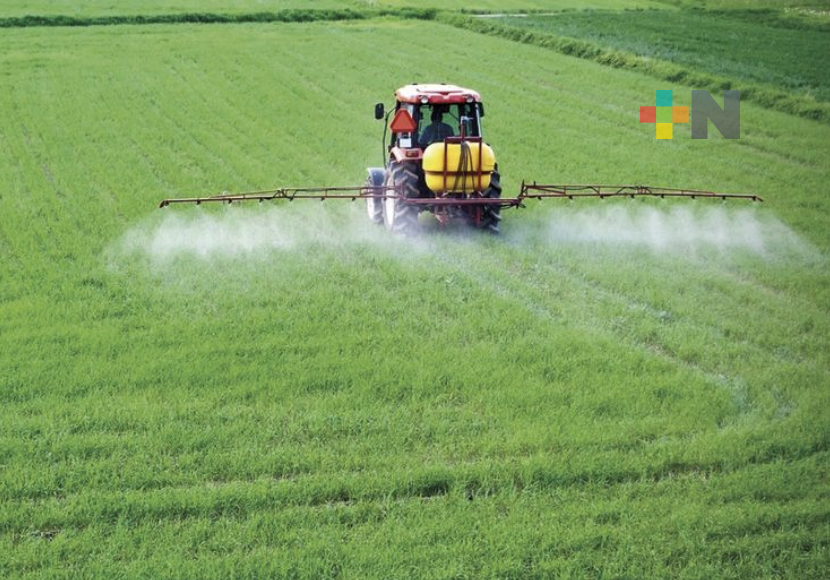 Proponen expedir Ley que crea la Empresa Productiva del Estado Fertilizantes para el Bienestar